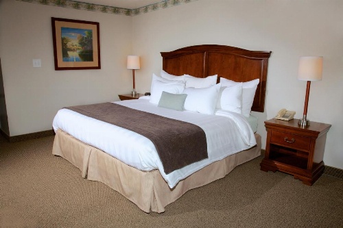 Holiday Hill Inn & Suites image 30