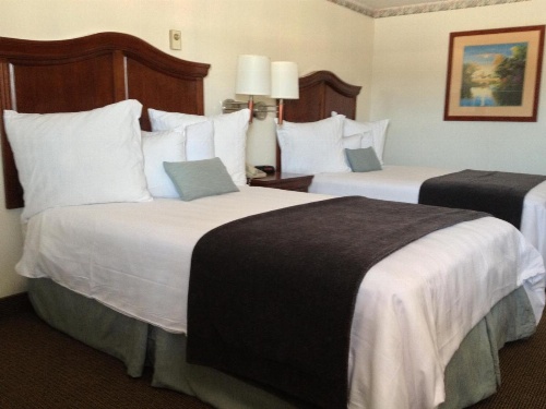 Holiday Hill Inn & Suites image 35